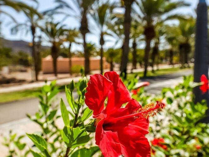 Belvilla By Oyo Chalet En Tuineje Para 6 Personas Exteriér fotografie